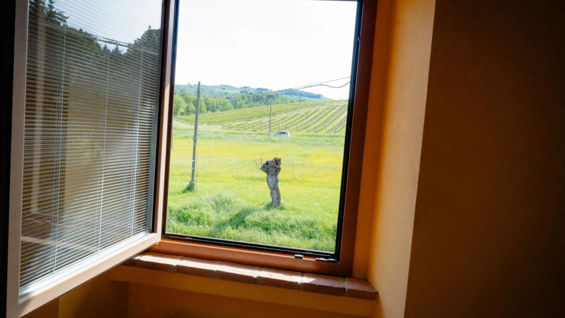 Bed & Breakfast L'Antico Gabbiano B&B San Casciano in Val di Pesa